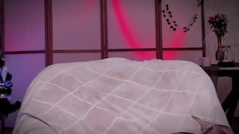 Snapshot of lina_n_kitty chatting on 12-16-24, 11:44 Lina - online show from 12-16-24, 11:44