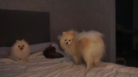 Snapshot of lindaaii chatting on 05-05-26, 01:30 Linda online show from 05-05-26, 01:30