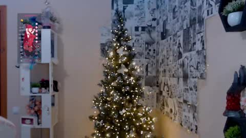 Snapshot of liniq chatting on 12-14-24, 05:47 Lina online show from 12-14-24, 05:47