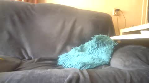 Snapshot of lion160868 chatting on 02-03-25, 10:14 lion160868 online show from 02-03-25, 10:14