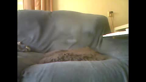 Snapshot of lion160868 chatting on 10-26-25, 10:32 lion160868 online show from 10-26-25, 10:32