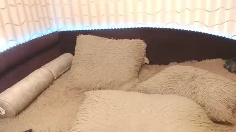 LIpsAddiction online show from 10-20-25, 12:38