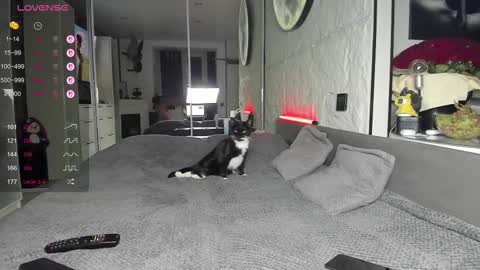 Snapshot of lisa__fox chatting on 11-17-25, 02:45 Lisa online show from 11-17-25, 02:45