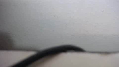 lisa_branch online show from 09-20-25, 10:27