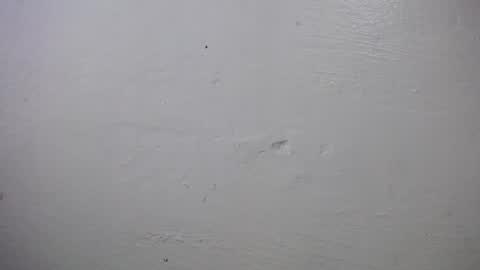 lisa_branch online show from 10-04-25, 10:24