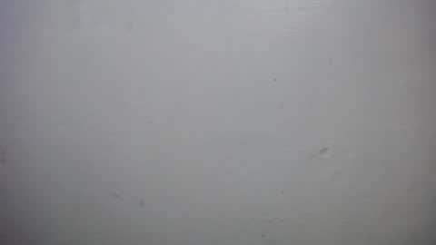 lisa_branch online show from 10-18-25, 10:16