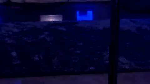 Snapshot of lisa_elfy chatting on 01-24-25, 03:45 lisa_elfy online show from 01-24-25, 03:45