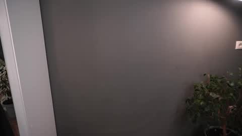 Snapshot of lisa_schiele chatting on 11-26-25, 08:21 Elisabeth or Lisa online show from 11-26-25, 08:21