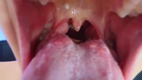 Lisbet online show from 01-25-25, 05:30