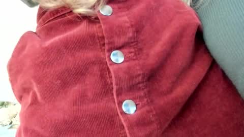 Lissa online show from 10-30-25, 05:24