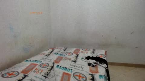 Snapshot of little__scarlet chatting on 05-29-26, 02:37 little__scarlet online show from 05-29-26, 02:37