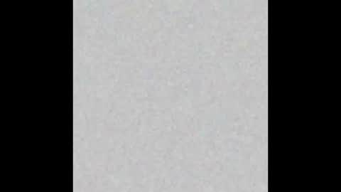 Alice.. online show from 11-23-25, 08:14