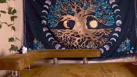 Sofia online show from 01-29-25, 08:35