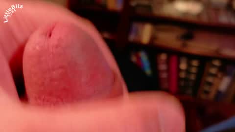 Littlebits online show from 04-28-26, 02:33