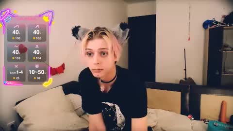 Snapshot of littlepinkcat chatting on 06-14-26, 06:21 Felix online show from 06-14-26, 06:21