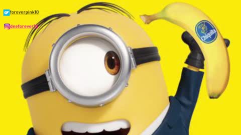 Snapshot of littlepinky77 chatting on 12-04-24, 09:07 Pinky online show from 12-04-24, 09:07