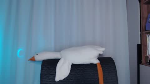 Sonnenschein online show from 12-11-24, 03:24