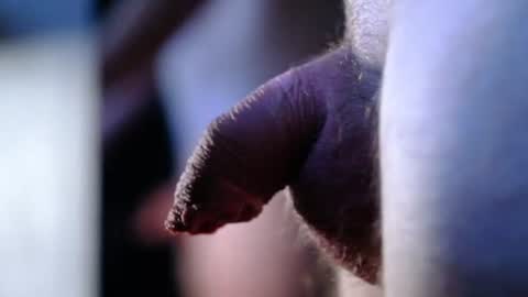 Snapshot of littlescrapper69 chatting on 10-09-25, 03:04 littlescrapper69 online show from 10-09-25, 03:04