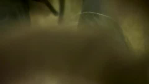 Little Tj online show from 04-06-26, 04:57