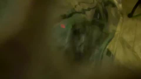 Little Tj online show from 04-23-26, 04:03