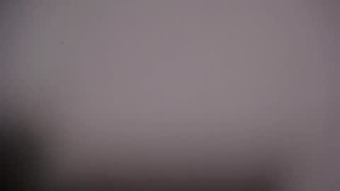 Viki online show from 10-09-25, 07:50