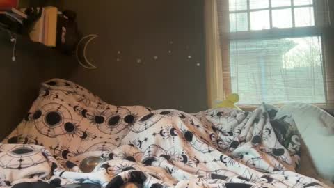 lizzybunny online show from 03-05-25, 04:57