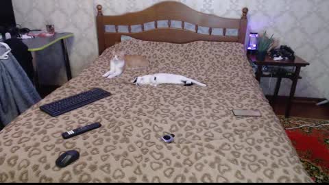 Snapshot of llevella chatting on 12-30-24, 12:11 Sevy online show from 12-30-24, 12:11