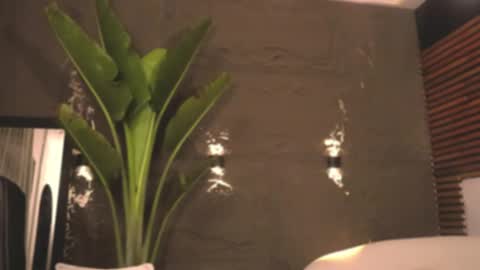 Snapshot of logan_varela chatting on 02-27-25, 06:07 logan_varela online show from 02-27-25, 06:07