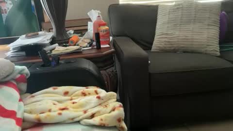 Snapshot of logical12345 chatting on 11-18-25, 10:14 logical12345 online show from 11-18-25, 10:14