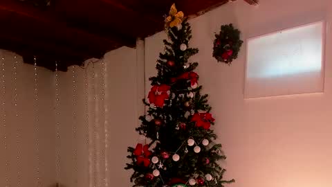 mara online show from 12-06-24, 07:56