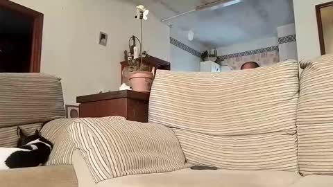 Snapshot of lolahueso chatting on 09-22-25, 08:38 LOLA HUESO y ERIC online show from 09-22-25, 08:38