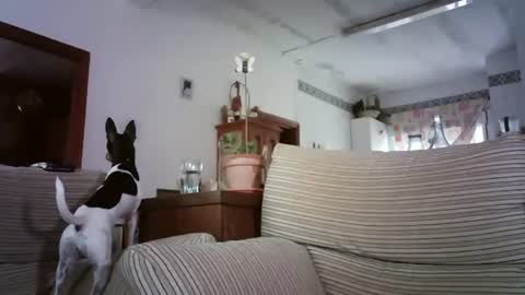 Snapshot of lolahueso chatting on 10-06-25, 08:12 LOLA HUESO y ERIC online show from 10-06-25, 08:12