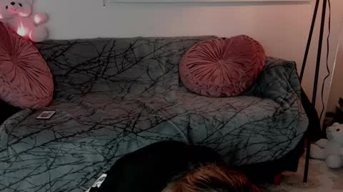 Snapshot of lollypetitte_ chatting on 02-24-26, 05:16 Lolly online show from 02-24-26, 05:16