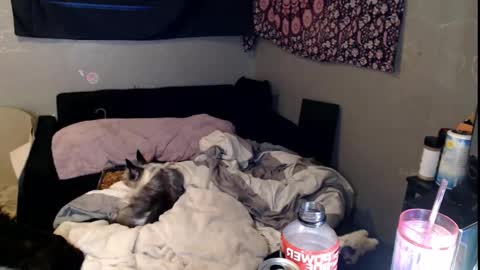 Snapshot of londonray chatting on 11-15-25, 11:40 londonray online show from 11-15-25, 11:40