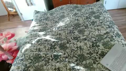 Snapshot of longbowrider555 chatting on 01-30-25, 08:21 Jeff online show from 01-30-25, 08:21