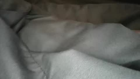 Snapshot of longdaddyjr chatting on 10-13-25, 04:01 LDJ online show from 10-13-25, 04:01