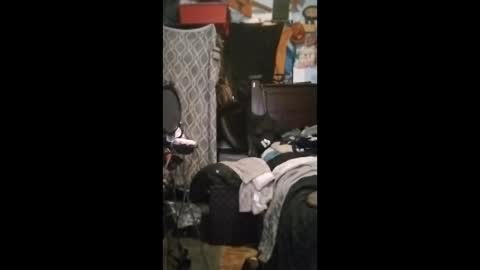 Mr. FogoDeChao online show from 06-11-26, 02:26