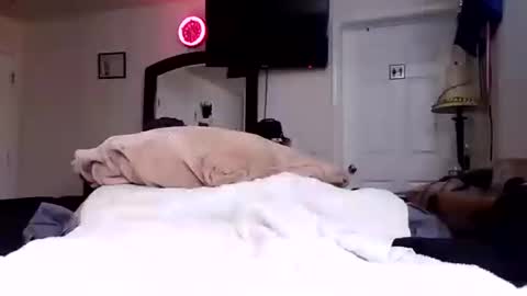 lookatmecum4you online show from 10-17-25, 08:28