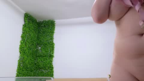 Amelia online show from 02-25-25, 07:58