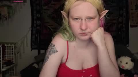 Lori Critter online show from 05-15-26, 11:45
