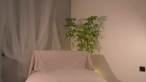 Lorrie online show from 11-23-25, 07:41