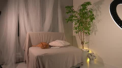 Lorrie online show from 11-24-25, 11:21