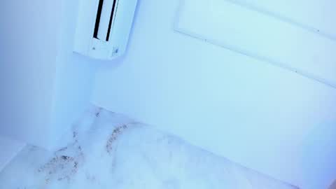 Snapshot of lotti_carter chatting on 05-24-26, 12:15 Lotti online show from 05-24-26, 12:15