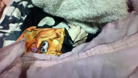 lovaelisa online show from 11-02-25, 02:52