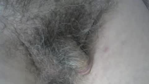 loveabush49 online show from 11-05-25, 08:53