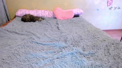 Snapshot of loveboys1993 chatting on 01-01-25, 05:22 cat-girl online show from 01-01-25, 05:22