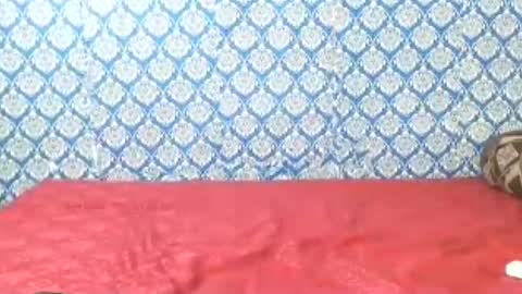 Divya online show from 07-22-26, 12:35