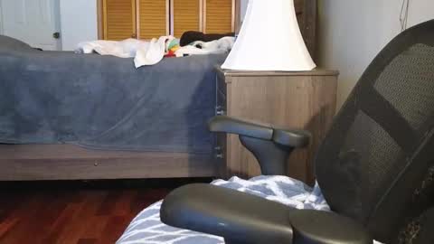 Snapshot of lovelace390 chatting on 11-03-25, 03:19 Amber online show from 11-03-25, 03:19