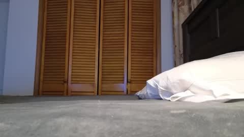 Snapshot of lovelace390 chatting on 01-07-26, 02:58 Amber online show from 01-07-26, 02:58