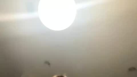 Love online show from 01-24-25, 10:51